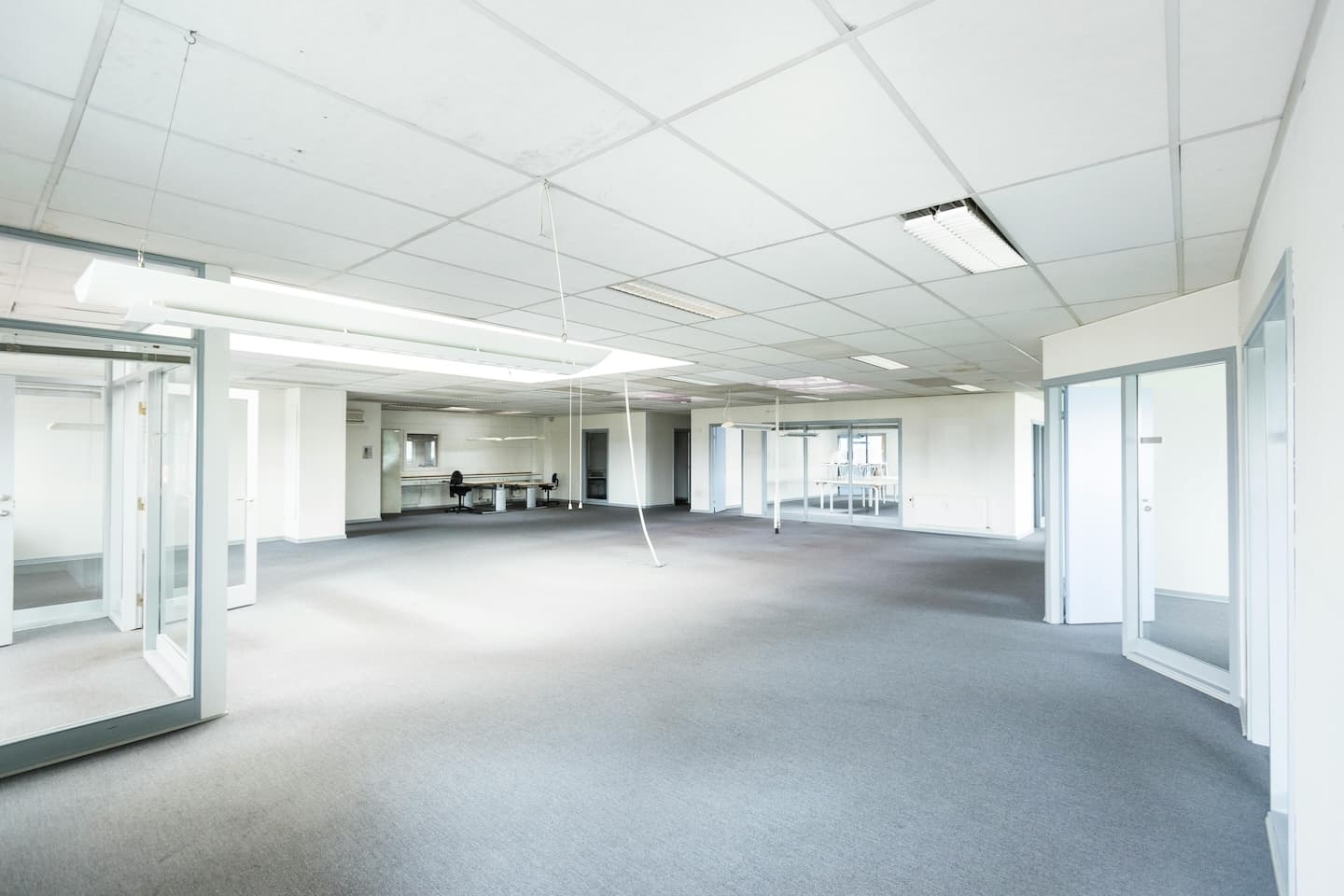 Tampa office remodel with modern finishes and lighting